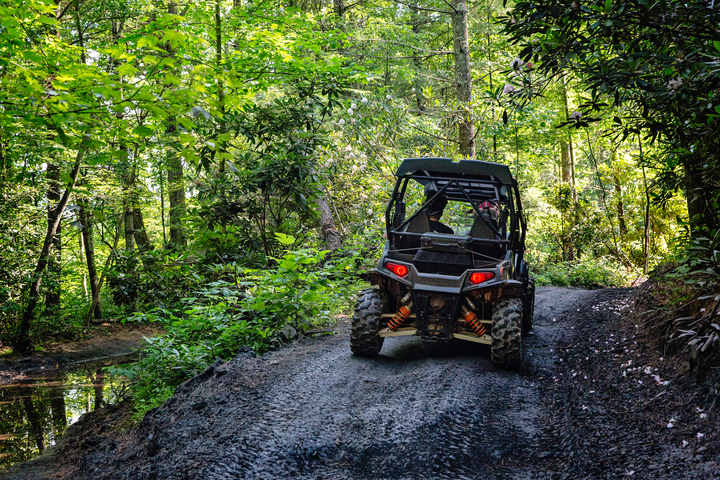 Hatfield-McCoy Trails: Top Lodging for Daytime Adventures and Restful Nights
