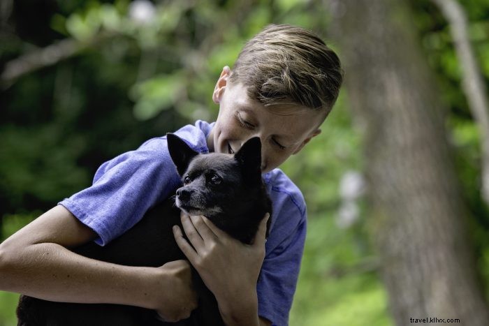 Top 5 Pet-Friendly Hiking Trails in West Virginia for You and Your Dog