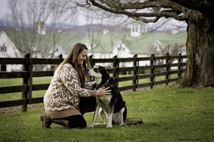 Top 5 Pet-Friendly Hiking Trails in West Virginia for You and Your Dog