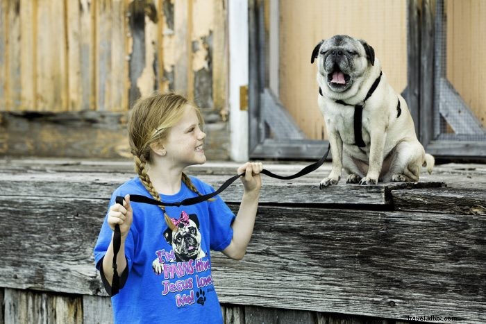 Top 5 Pet-Friendly Hiking Trails in West Virginia for You and Your Dog