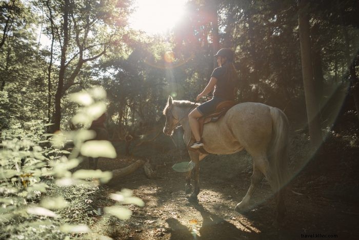 Summit Seneca Rocks: 3 Thrilling Ways to Reach the 900-Foot Peak