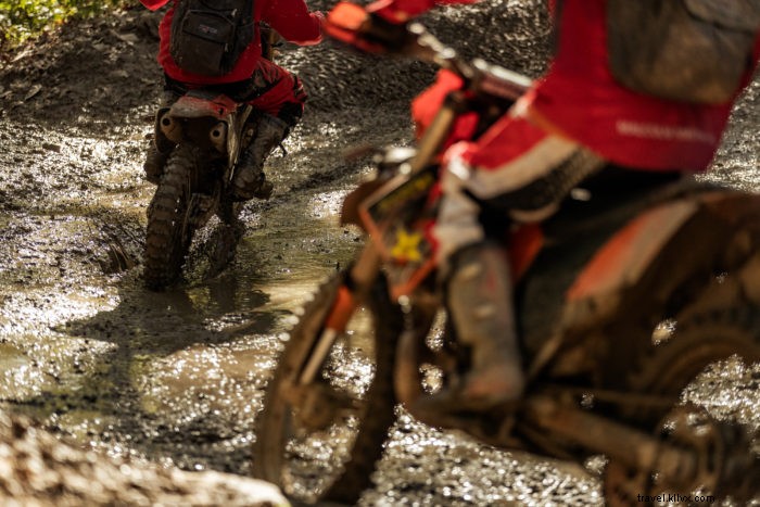 Explore the Hatfield-McCoy Trails: 1,000+ Miles of Epic ATV Adventures in West Virginia