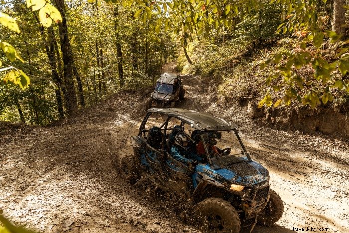 Explore the Hatfield-McCoy Trails: 1,000+ Miles of Epic ATV Adventures in West Virginia