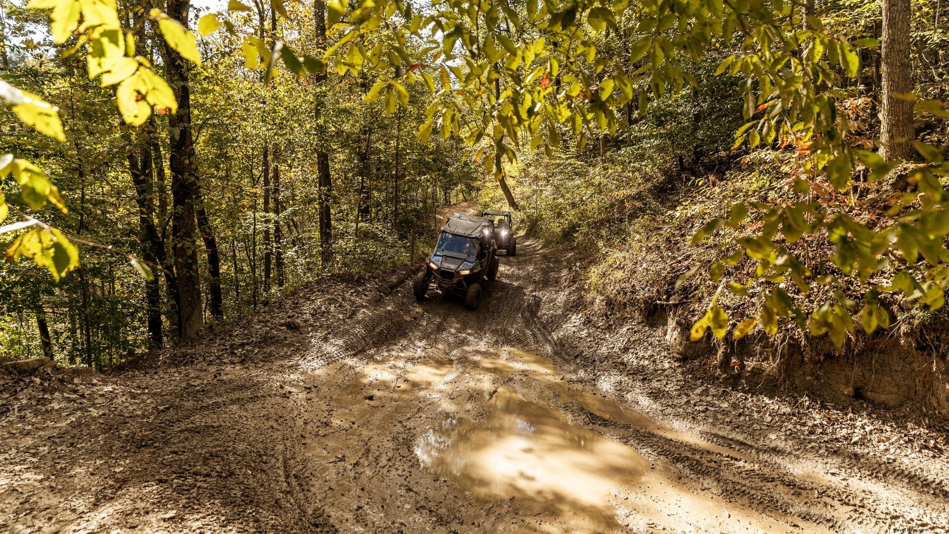 West Virginia Fall Foliage Road Trip: Best Leaf Peeping Destinations in Almost Heaven