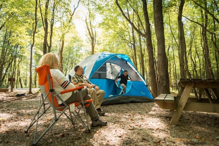 West Virginia Fall Foliage Road Trip: Best Leaf Peeping Destinations in Almost Heaven