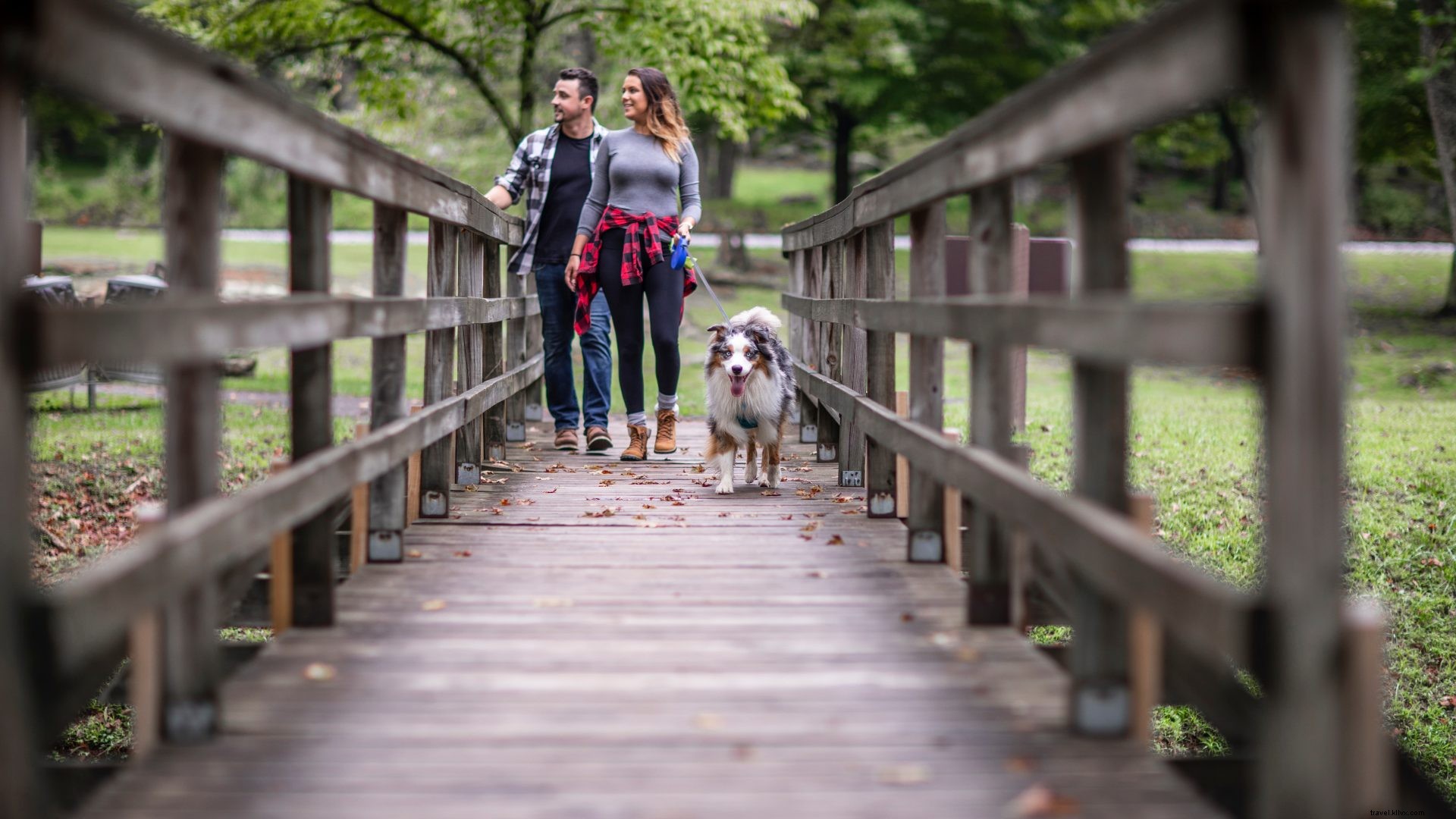 Ultimate Fall Foliage Road Trip: W.Va. 310 from Grafton to Fairmont