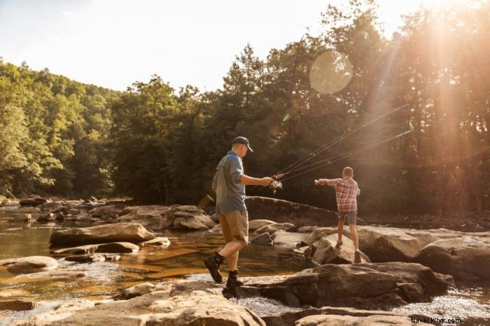 Discover Your Sanctuary: West Virginia s Scenic Outdoors Await