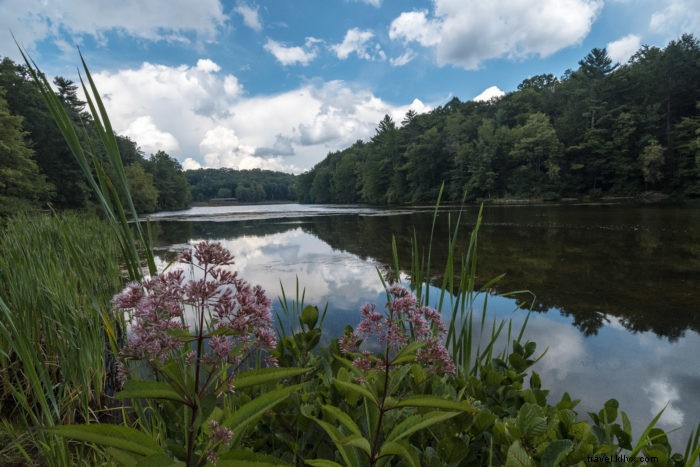 Discover Your Sanctuary: West Virginia s Scenic Outdoors Await