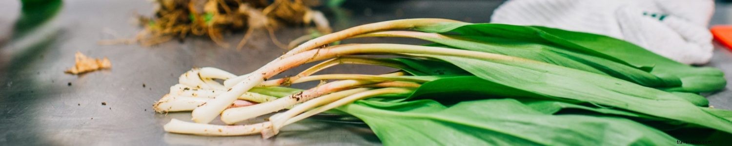 6 Safe Social Distancing Activities in Almost Heaven, West Virginia