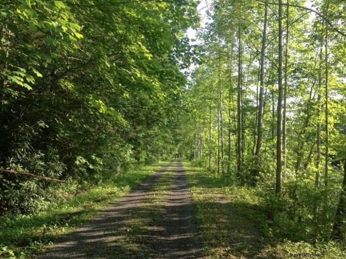 Explore Epic Hiking and Biking Trails in West Virginia s Almost Heaven