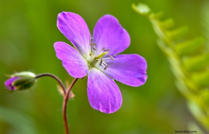 Explore Epic Hiking and Biking Trails in West Virginia s Almost Heaven