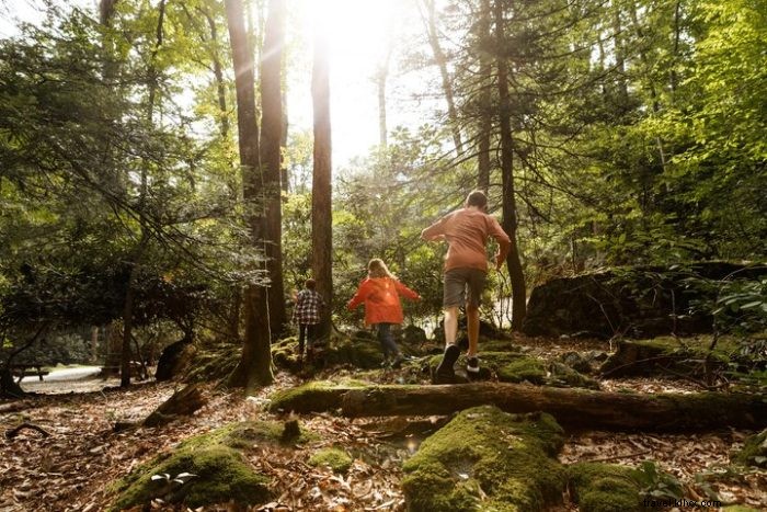 5 Outdoor Workout Ideas to Enjoy West Virginia s Stunning Scenery