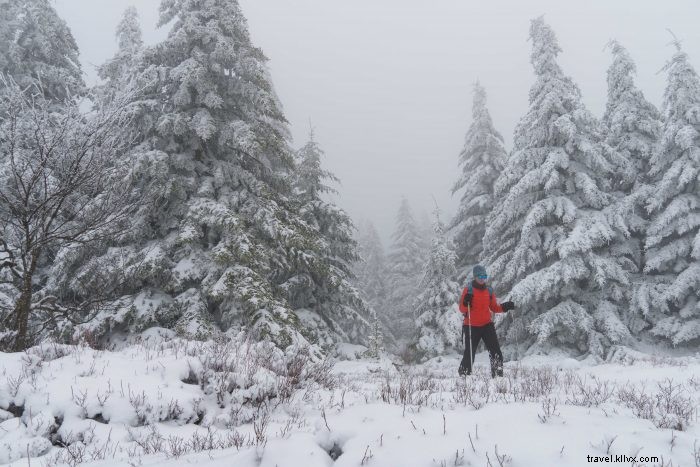 Budget-Friendly 5-Star Winter Adventures in Canaan Valley, WV