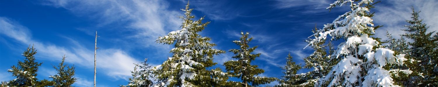 Master Skiing and Snowboarding in Almost Heaven, West Virginia: Your Guide to Learn to Ski Month