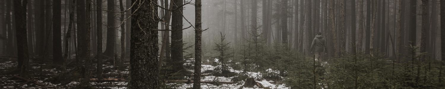 Kick Off the New Year with Free Guided First Day Hikes in West Virginia State Parks