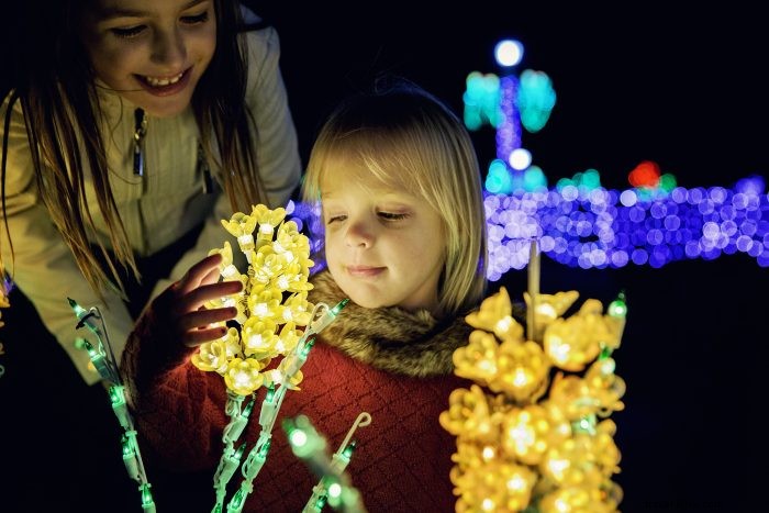 Discover West Virginia s Magical Holiday Lights Festivals: Illuminate Your Winter Nights