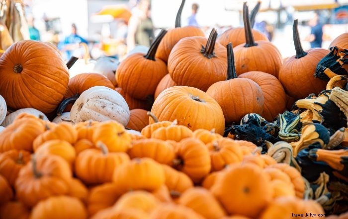 Authentic Appalachian Thanksgiving Recipes from West Virginia Department of Agriculture