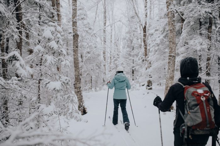 Discover Fall Foliage and Winter Wonderland Spots in Almost Heaven, West Virginia