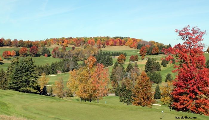Discover Fall Foliage and Winter Wonderland Spots in Almost Heaven, West Virginia