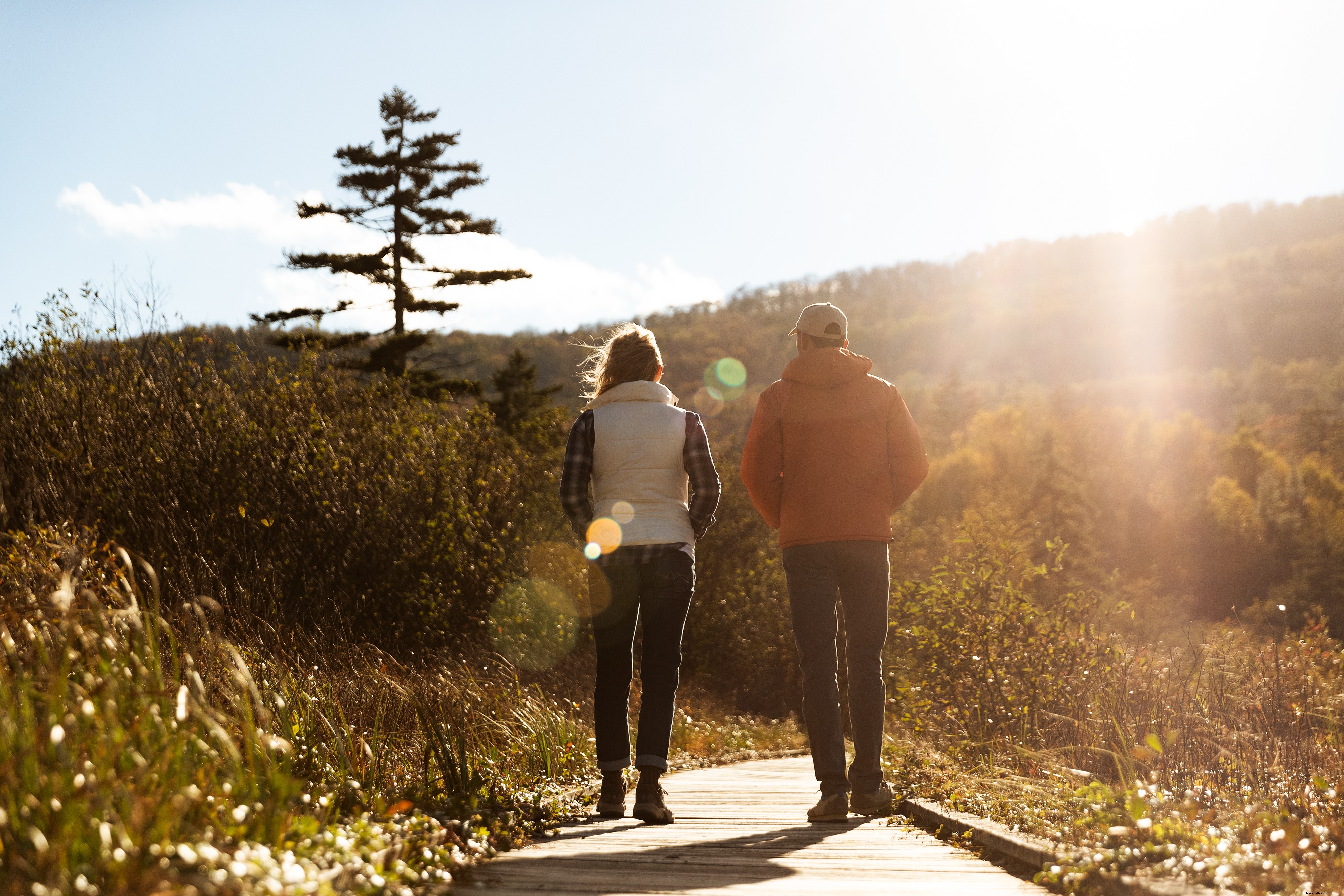 Best Wildlife Watching Spots in West Virginia s Almost Heaven