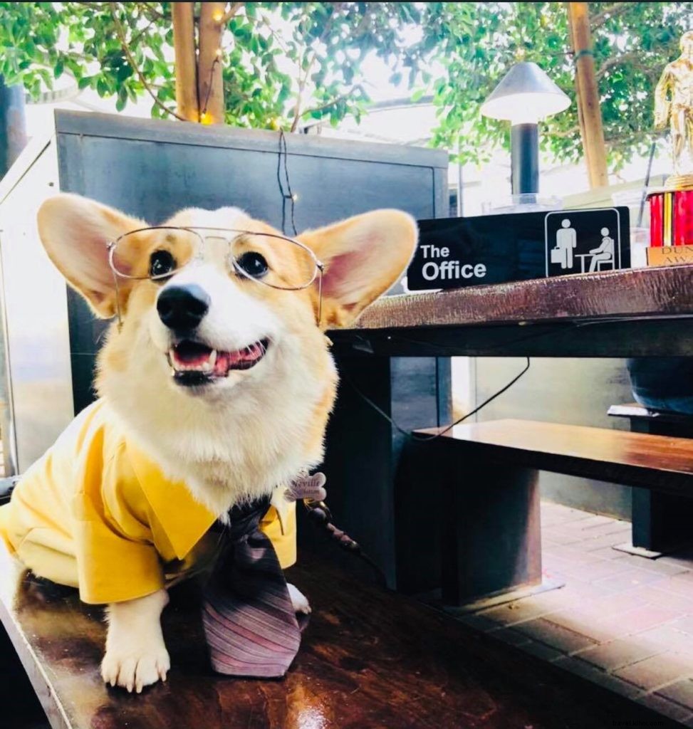 Halloween 2021 in Tempe, AZ: Top Family-Friendly Events and Spooky Adventures