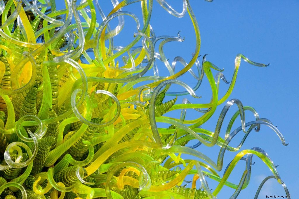 Tempe s Best Fall Events 2021: Festivals, Concerts, and Holiday Magic