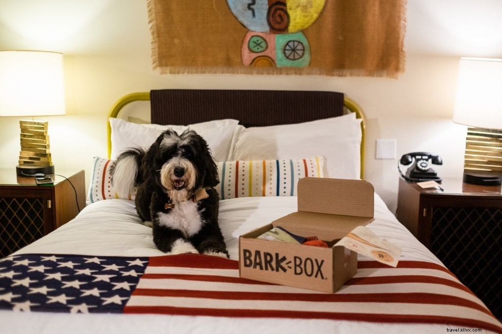 Top Pet-Friendly Hotels in Tempe, AZ: Policies, Fees & Locations