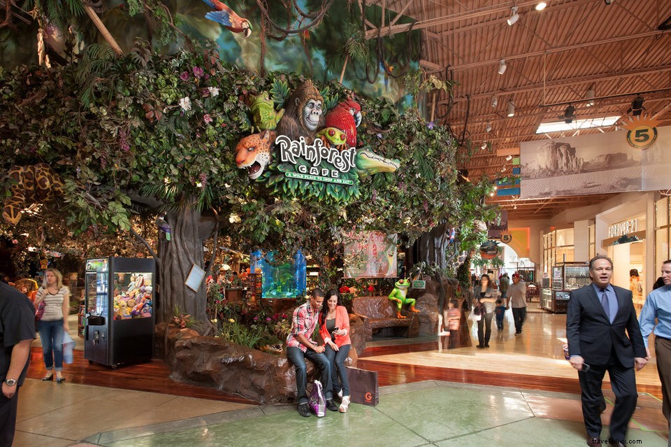 Top 20 Family-Friendly Restaurants in Tempe, AZ: Kid-Approved Dining Spots