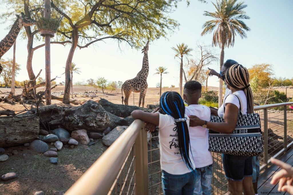 Top Labor Day Weekend Activities in Tempe and Phoenix (2021 Guide)