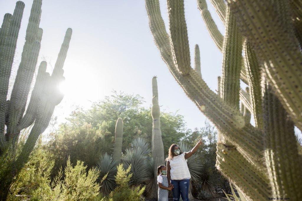 Top Labor Day Weekend Activities in Tempe and Phoenix (2021 Guide)
