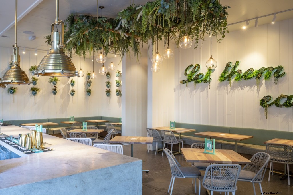 Top Restaurants Near ASU Tempe Campus: Must-Try Dining for Sun Devils