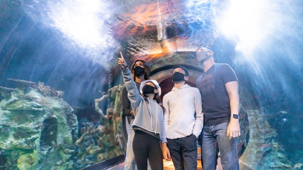 Top 9 Family-Friendly Spring Break Activities in Tempe, AZ