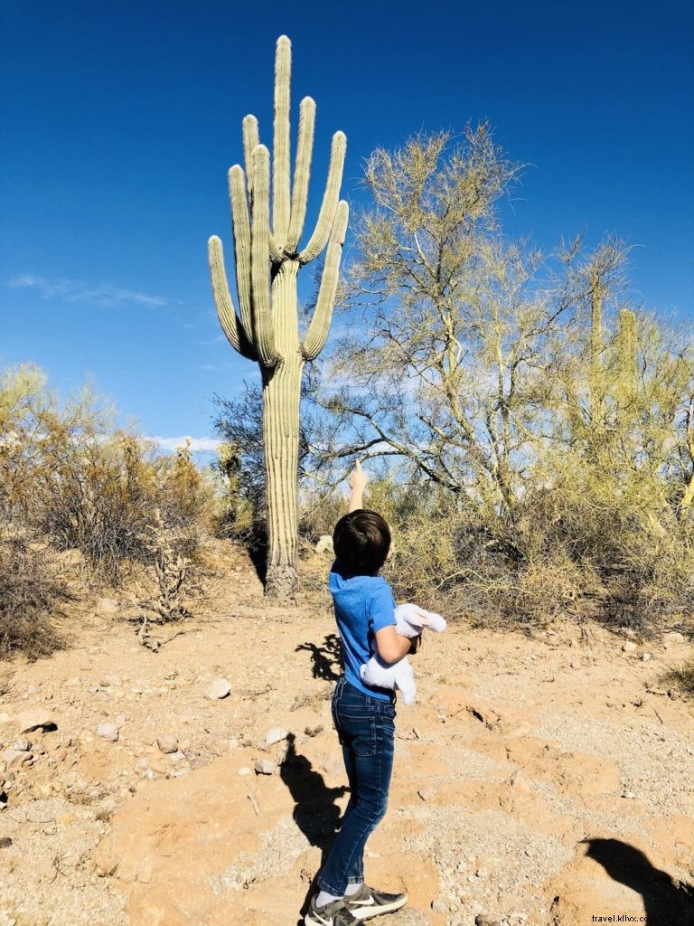 Best Family-Friendly Hiking Trails in Tempe and Phoenix Area