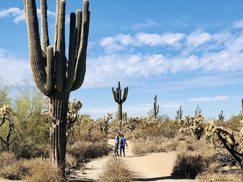 Best Family-Friendly Hiking Trails in Tempe and Phoenix Area