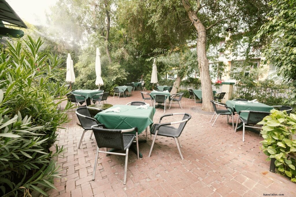 Top Tempe Restaurants with Outstanding Patios for Al Fresco Dining