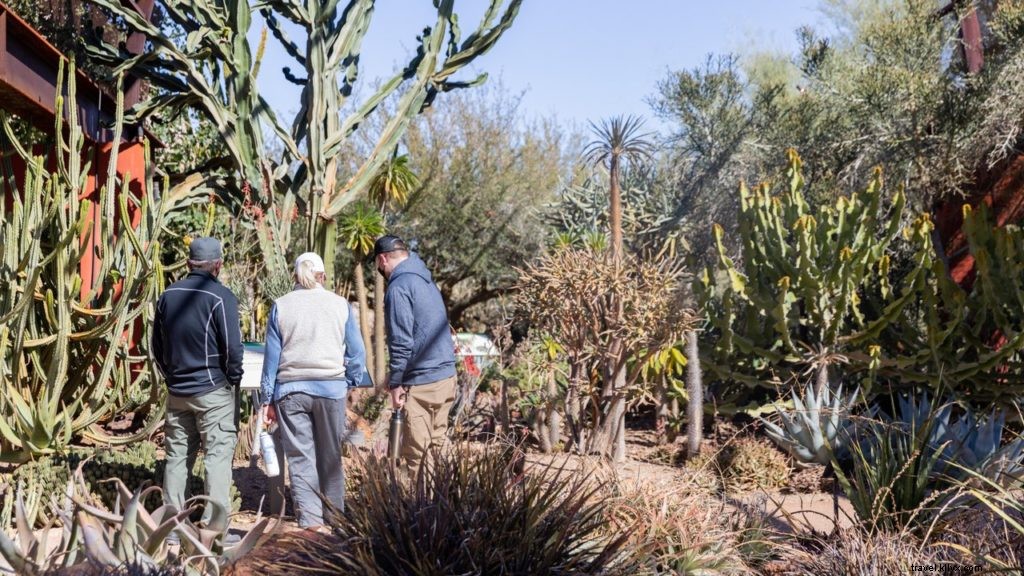 Top Things to Do in Tempe During Cactus League Spring Training Season