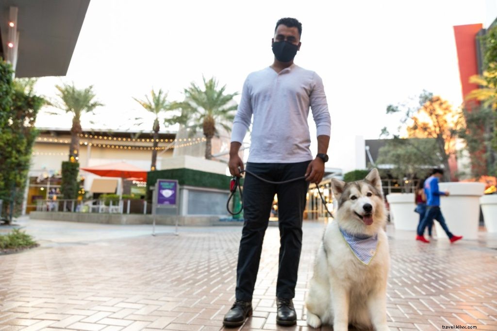 Top Dog-Friendly Places in Tempe: Parks, Restaurants, Activities & Hotels