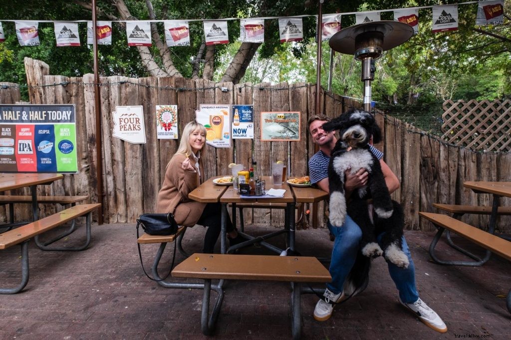 Top Dog-Friendly Places in Tempe: Parks, Restaurants, Activities & Hotels