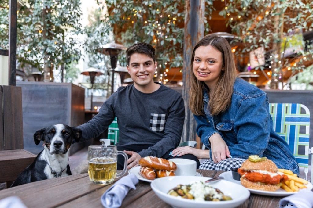 Top Dog-Friendly Places in Tempe: Parks, Restaurants, Activities & Hotels