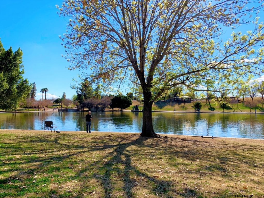 Best Picnic Spots in Tempe Parks: Family-Friendly Guides & Nearby Takeout