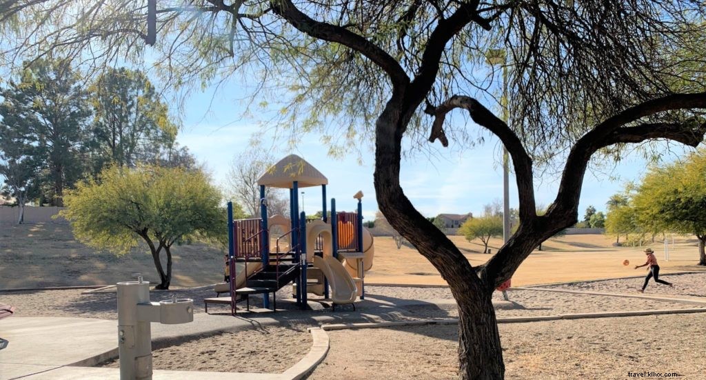 Best Picnic Spots in Tempe Parks: Family-Friendly Guides & Nearby Takeout