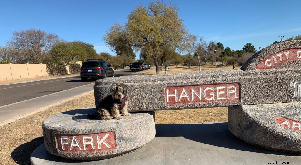 Best Picnic Spots in Tempe Parks: Family-Friendly Guides & Nearby Takeout