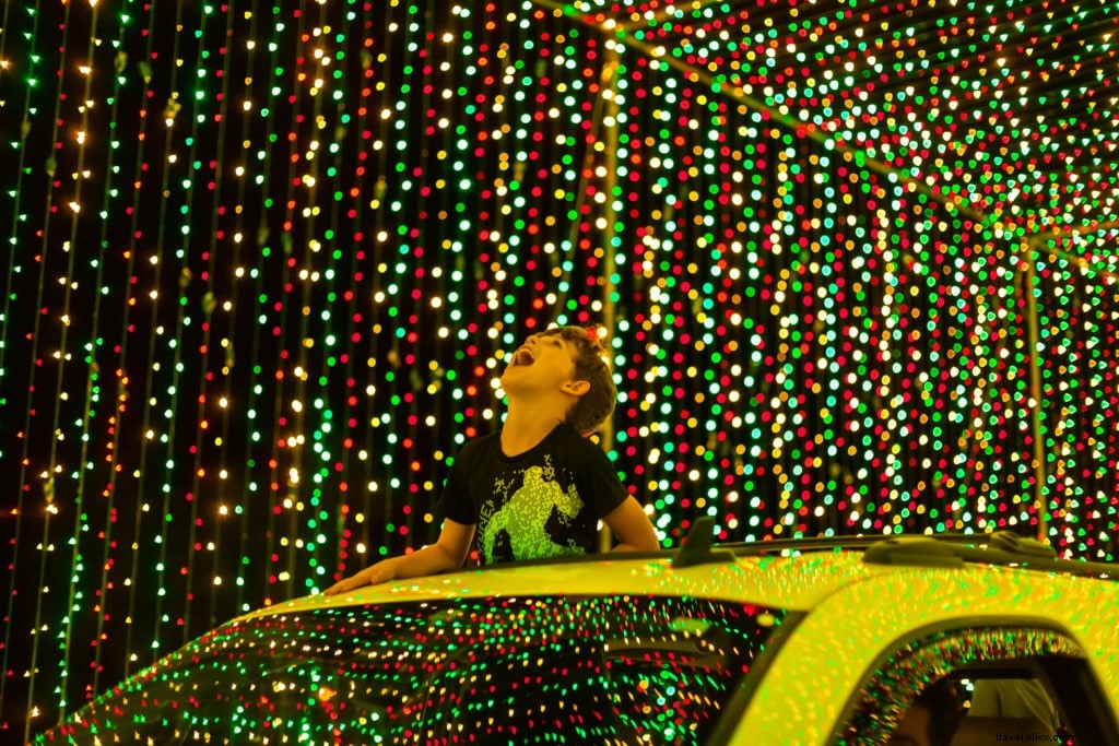 Top Holiday Events in Tempe, AZ: Dazzling Lights, Markets & Family Fun