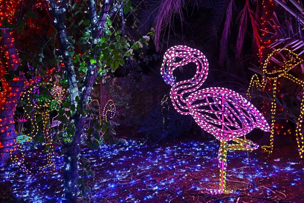 Top Holiday Events in Tempe, AZ: Dazzling Lights, Markets & Family Fun