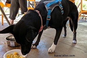 Why Morning Squeeze is Our Favorite Breakfast Spot in Downtown Tempe