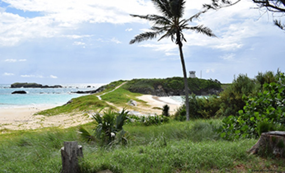 Bermuda s Best Beaches with Amenities: Pink Sands, Snorkeling & Family Facilities