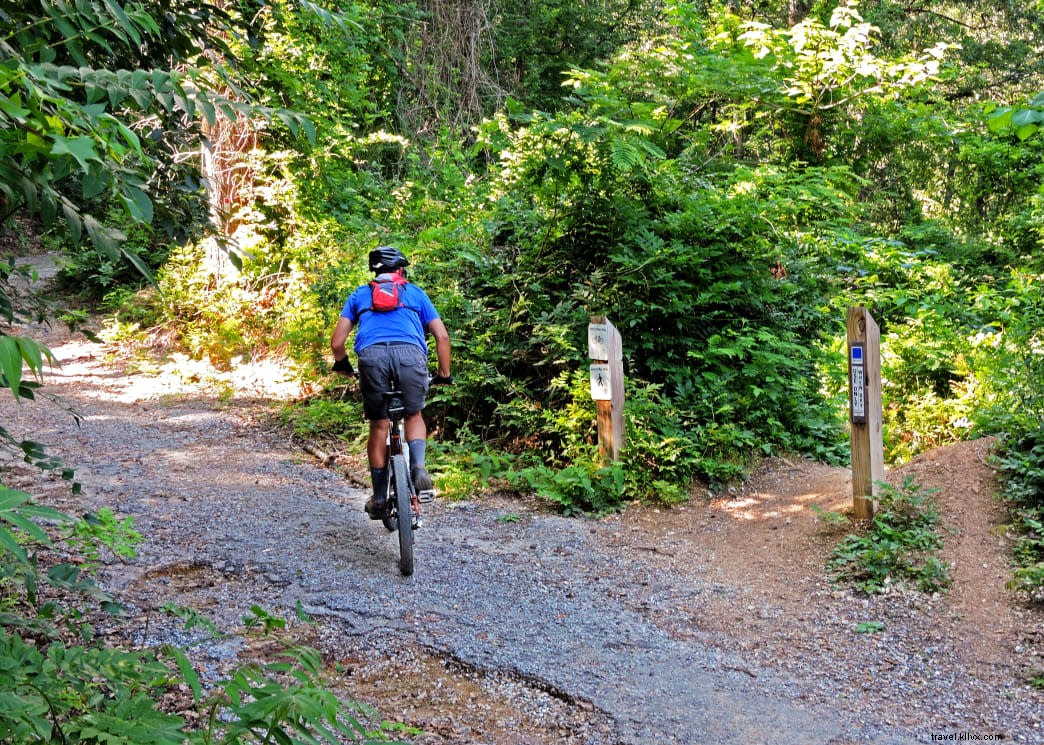 Chattanooga Downtown Neighborhoods: The One Must-Do Activity in Each