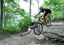 Top 5 Outdoor Destinations for Stunning Fall Foliage in Chattanooga This October