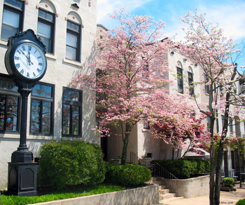 Chattanooga Virtual Experiences: Live Tours, Streams, and At-Home Adventures