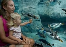 Ultimate 7-Day Family Itinerary in Chattanooga: Top Attractions, Adventures & Outdoor Fun